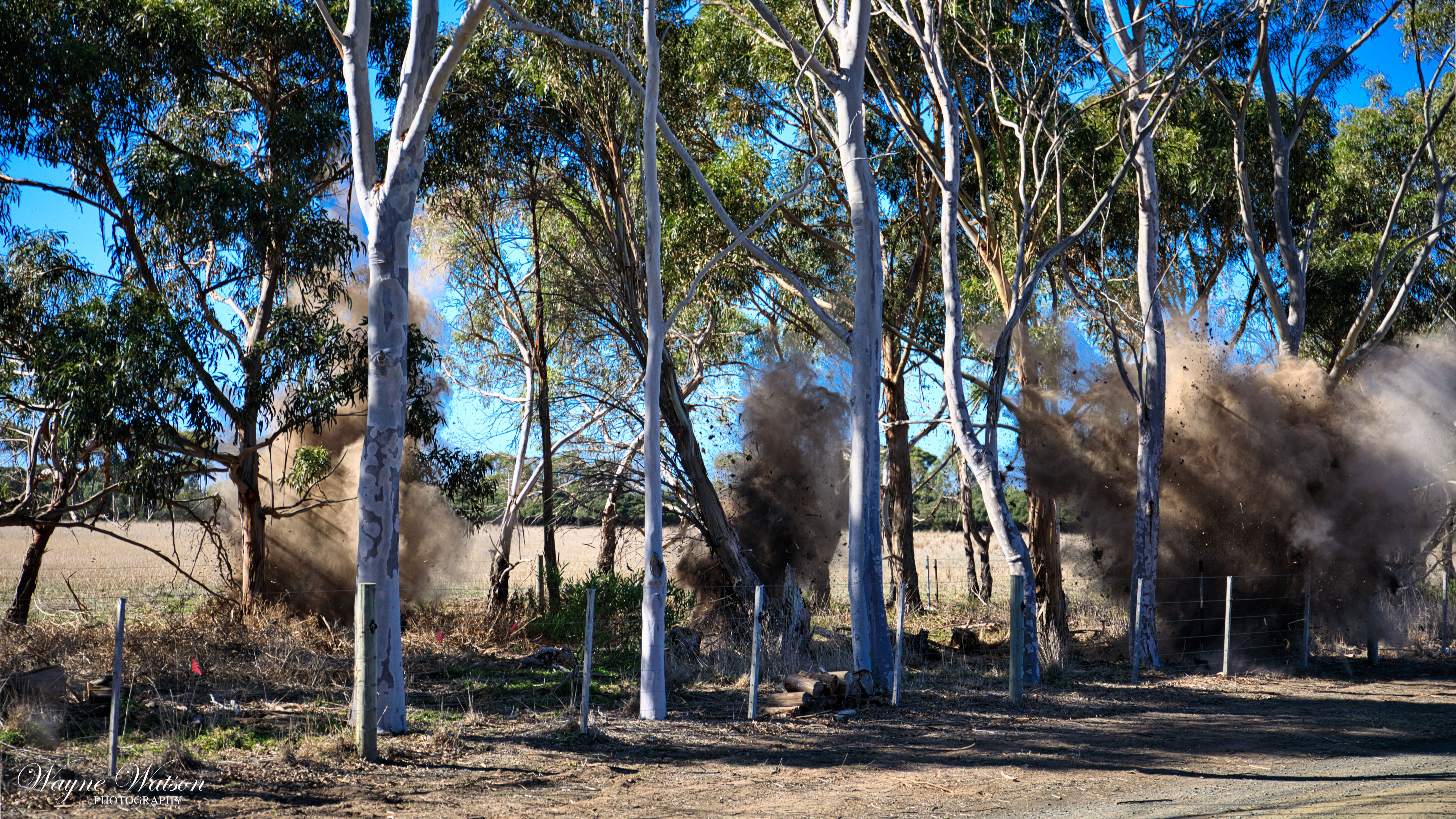 Rabbit Sweep Implosion 49A4430small